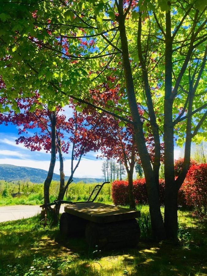 Hotel La Fontanella แซร์รา ซาน บรูโน ภายนอก รูปภาพ